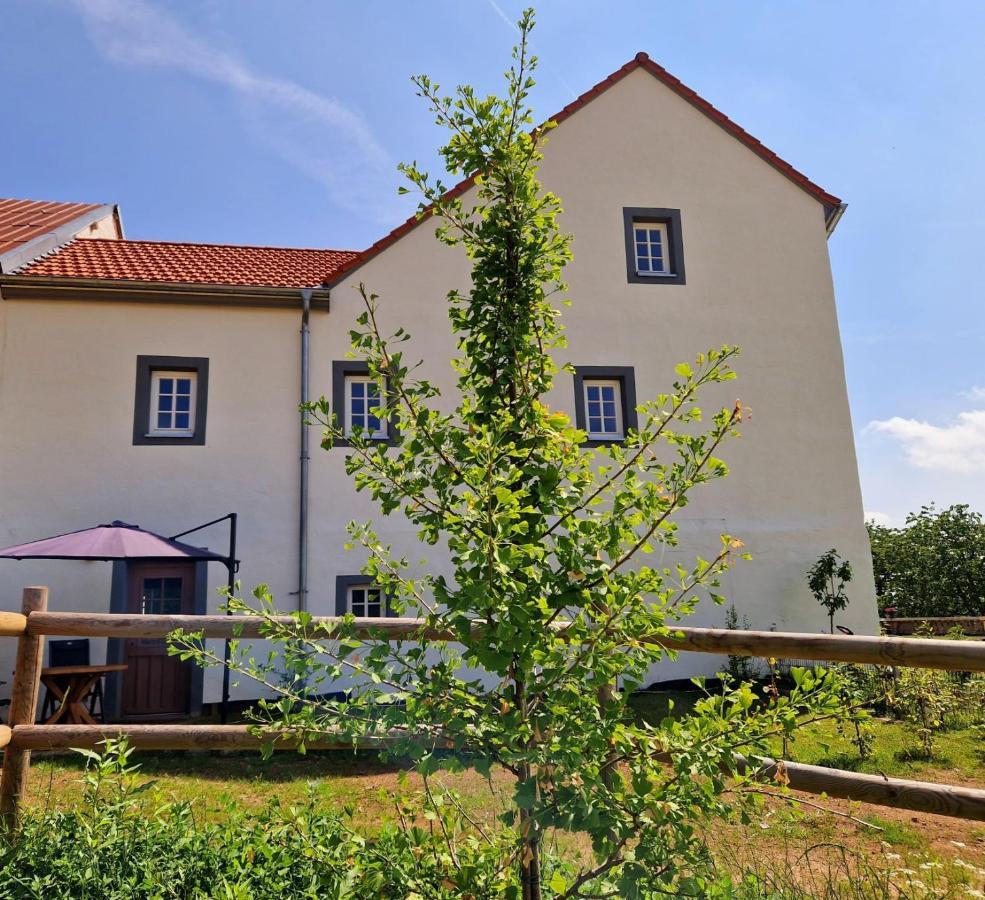 Ferienhaus "Entenhaus" Im Gutshaus De La Fontaine Feilsdorf Екстер'єр фото